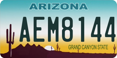 AZ license plate AEM8144