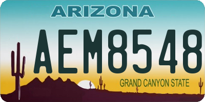 AZ license plate AEM8548