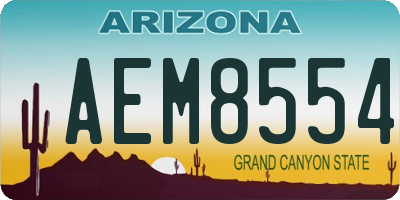 AZ license plate AEM8554