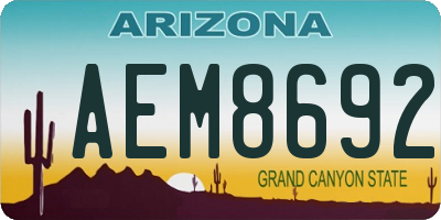 AZ license plate AEM8692