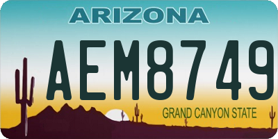 AZ license plate AEM8749