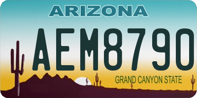 AZ license plate AEM8790
