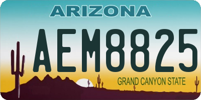 AZ license plate AEM8825