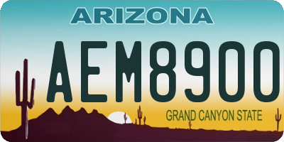 AZ license plate AEM8900