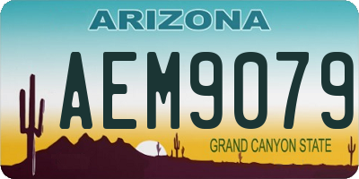 AZ license plate AEM9079