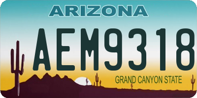 AZ license plate AEM9318