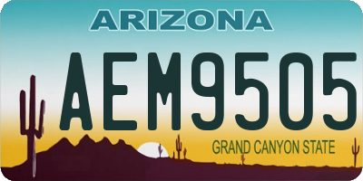AZ license plate AEM9505