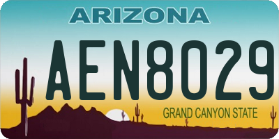 AZ license plate AEN8029