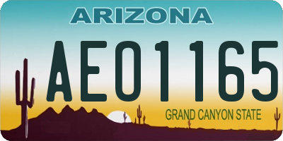 AZ license plate AEO1165
