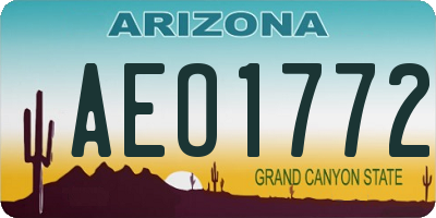 AZ license plate AEO1772