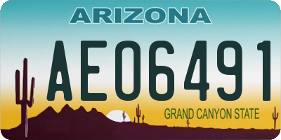 AZ license plate AEO6491