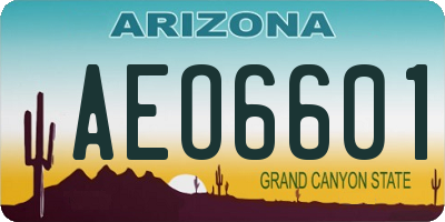 AZ license plate AEO6601