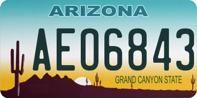 AZ license plate AEO6843