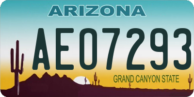 AZ license plate AEO7293