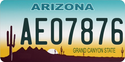 AZ license plate AEO7876