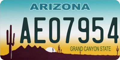 AZ license plate AEO7954