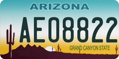 AZ license plate AEO8822