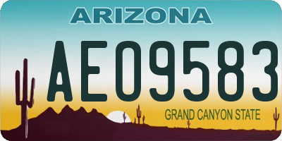 AZ license plate AEO9583