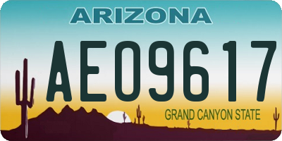 AZ license plate AEO9617