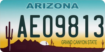AZ license plate AEO9813