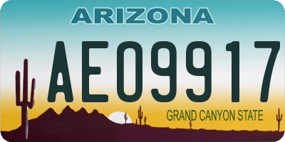 AZ license plate AEO9917