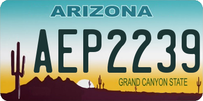 AZ license plate AEP2239