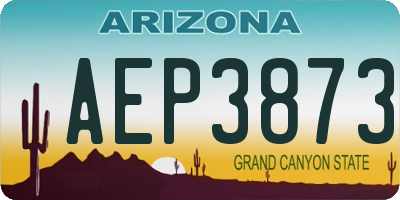 AZ license plate AEP3873