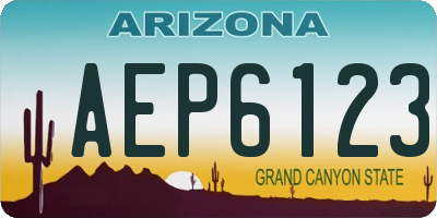 AZ license plate AEP6123