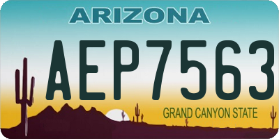 AZ license plate AEP7563