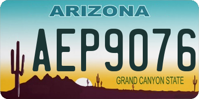 AZ license plate AEP9076