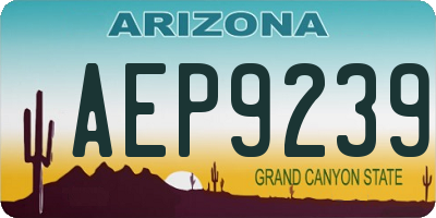 AZ license plate AEP9239