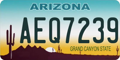 AZ license plate AEQ7239