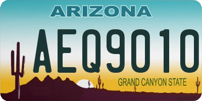 AZ license plate AEQ9010