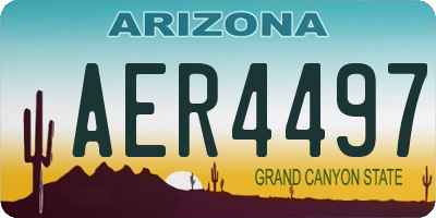 AZ license plate AER4497