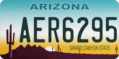 AZ license plate AER6295