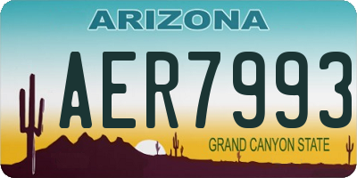 AZ license plate AER7993