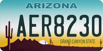 AZ license plate AER8230