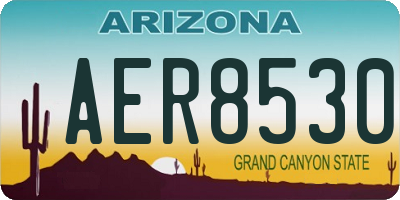 AZ license plate AER8530