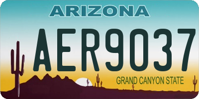 AZ license plate AER9037