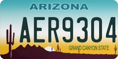 AZ license plate AER9304