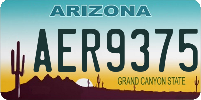 AZ license plate AER9375