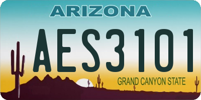 AZ license plate AES3101
