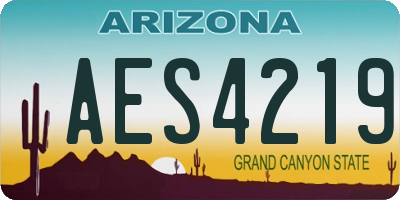 AZ license plate AES4219