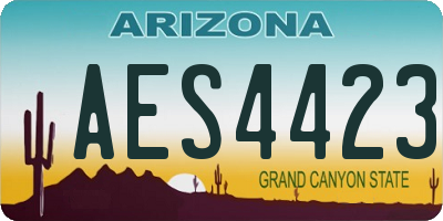 AZ license plate AES4423