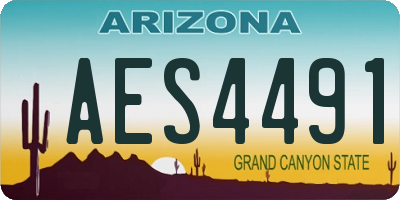 AZ license plate AES4491