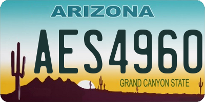 AZ license plate AES4960