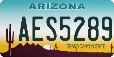 AZ license plate AES5289