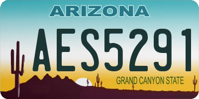 AZ license plate AES5291