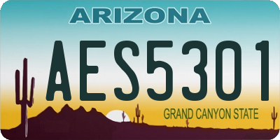 AZ license plate AES5301