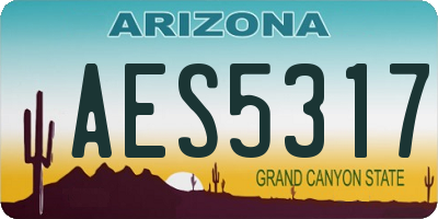 AZ license plate AES5317